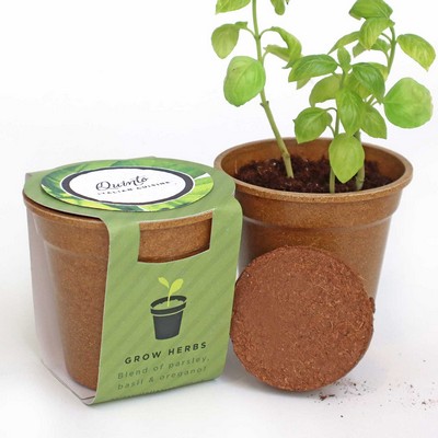 Herb Medallion Seed Paper Sprouter Kits